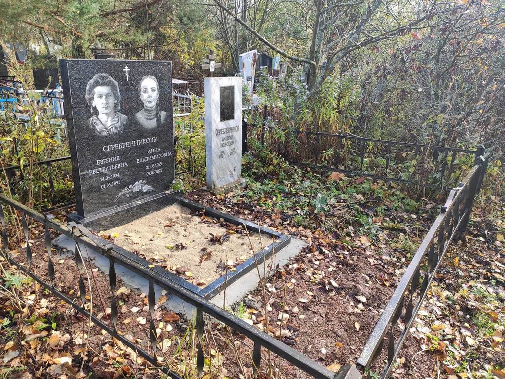 Серебренникова Анна Владимировна