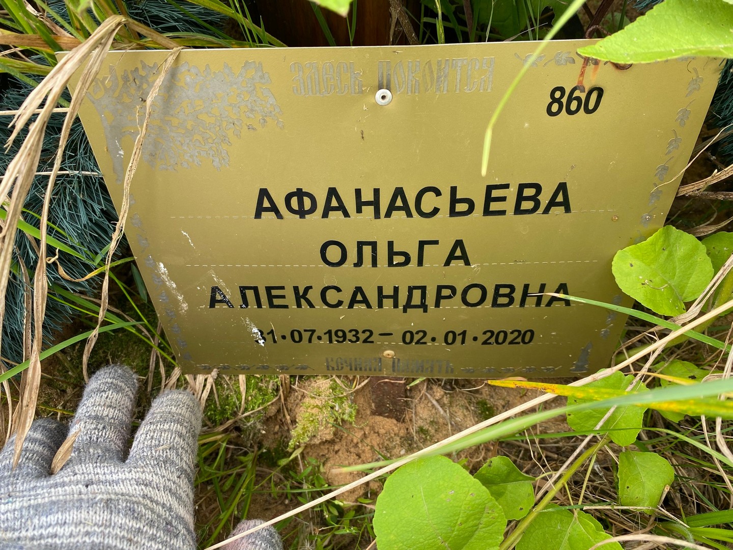 Афанасьева