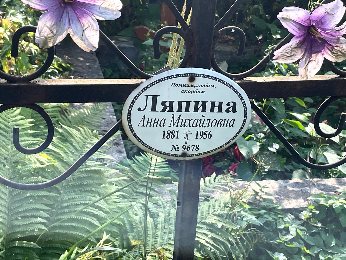 Ляпина