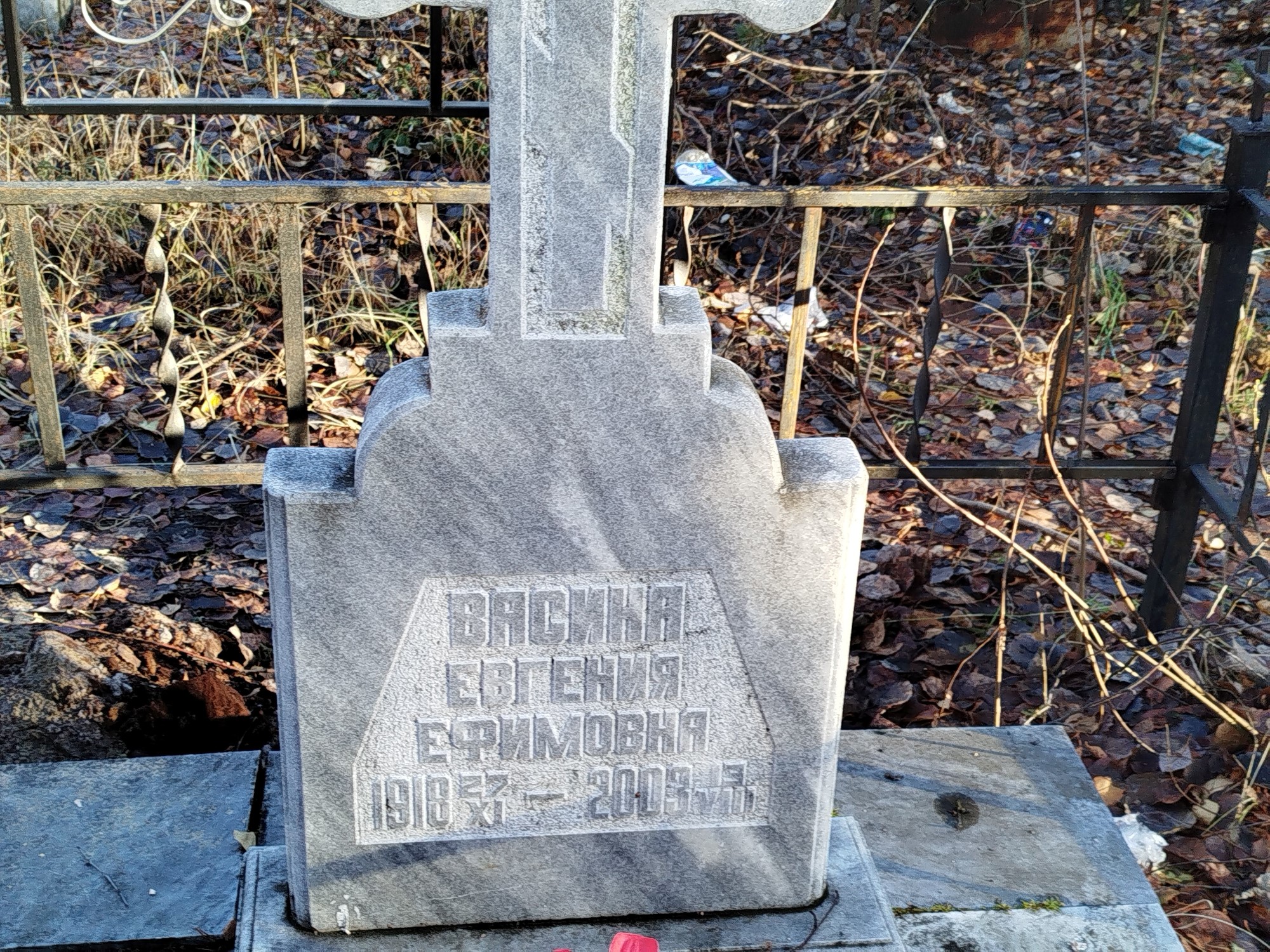 Васина Евгения Ефимовна