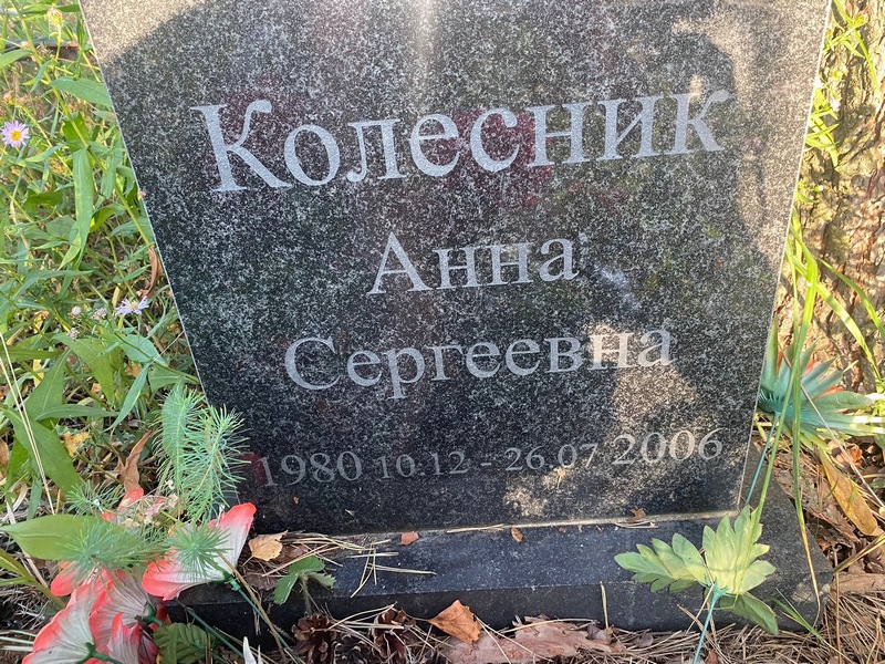 Колесник