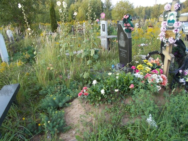 Васильева Татьяна Николаевна