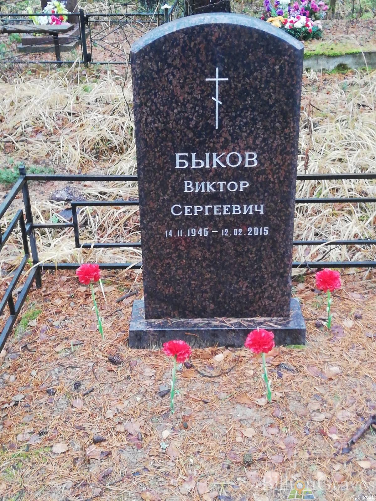 Быков Виктор Сергеевич