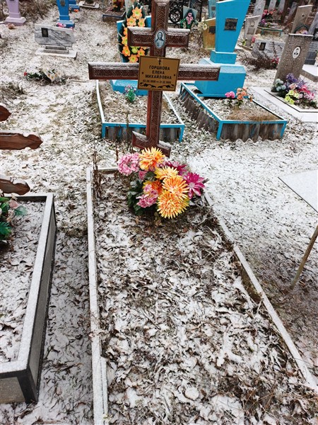 Горшкова Елена Михайловна