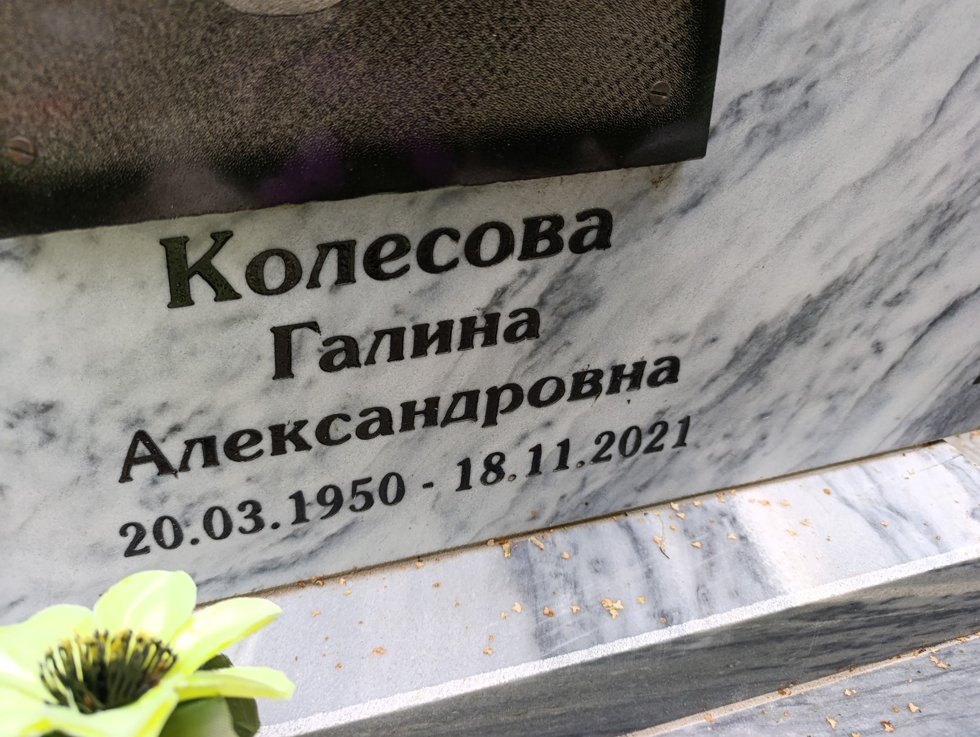 Колесова Галина Александровна