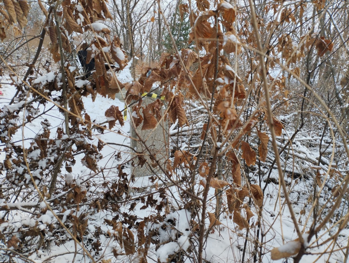 Корчевский Анатолий Мартынович