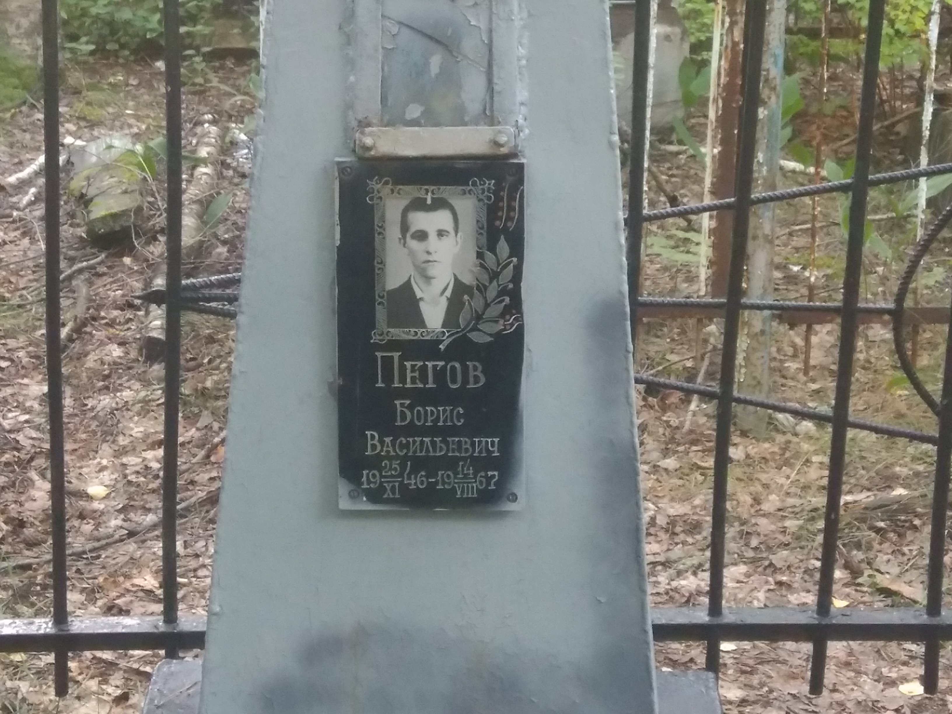 Пегов Борис Васильевич