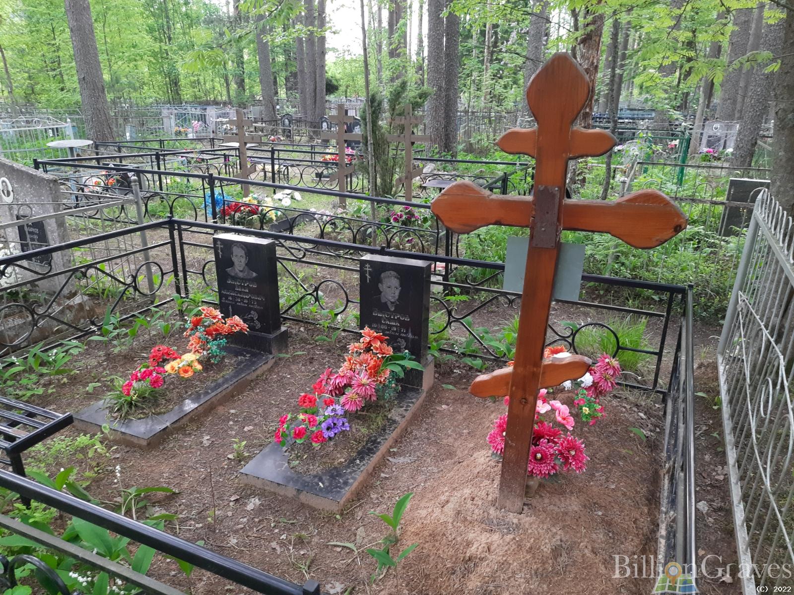 Быстров Александр