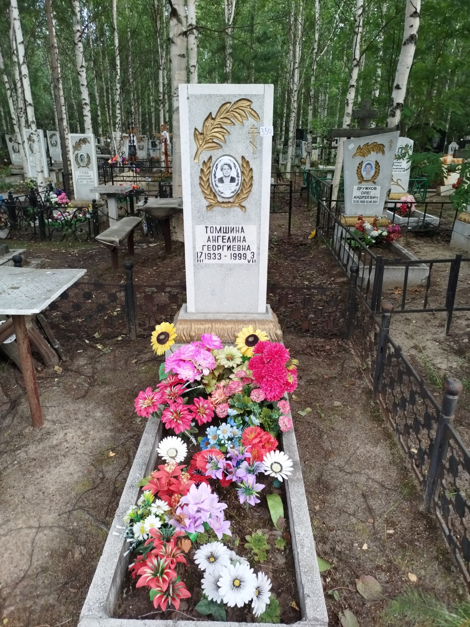Томшина Ангелина Георгиевна