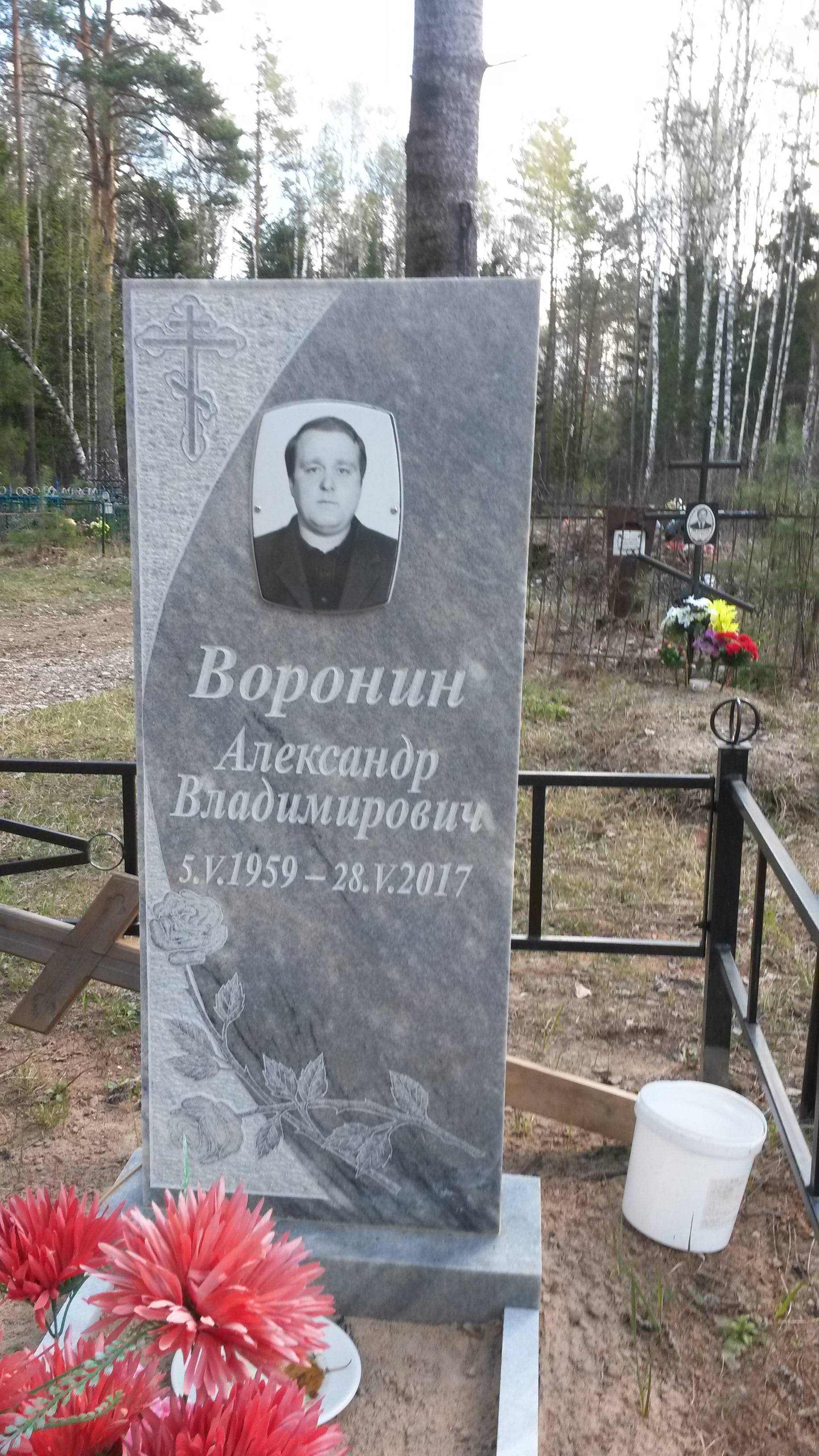 Воронин Александр Владимирович