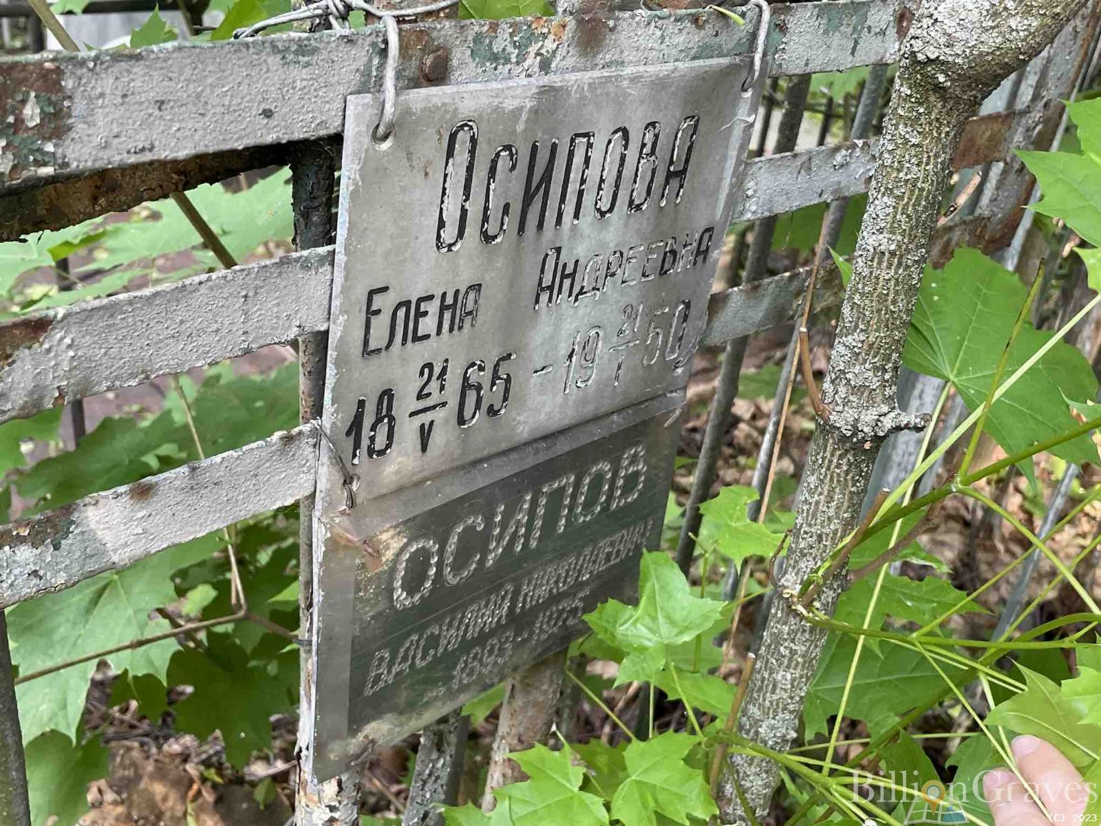 Осипова Елена Андреевна