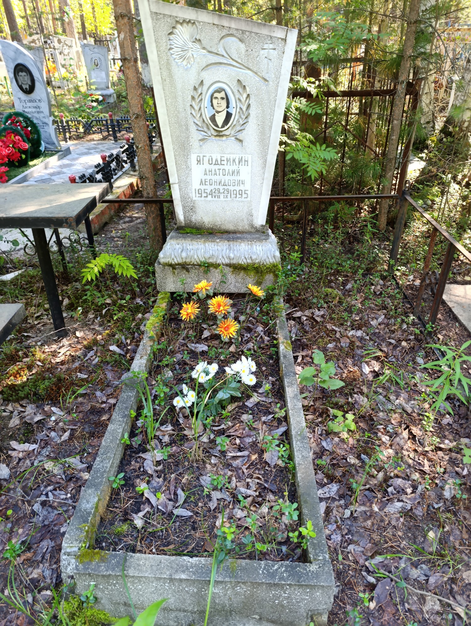 Ягодейкин Анатолий Леонидович