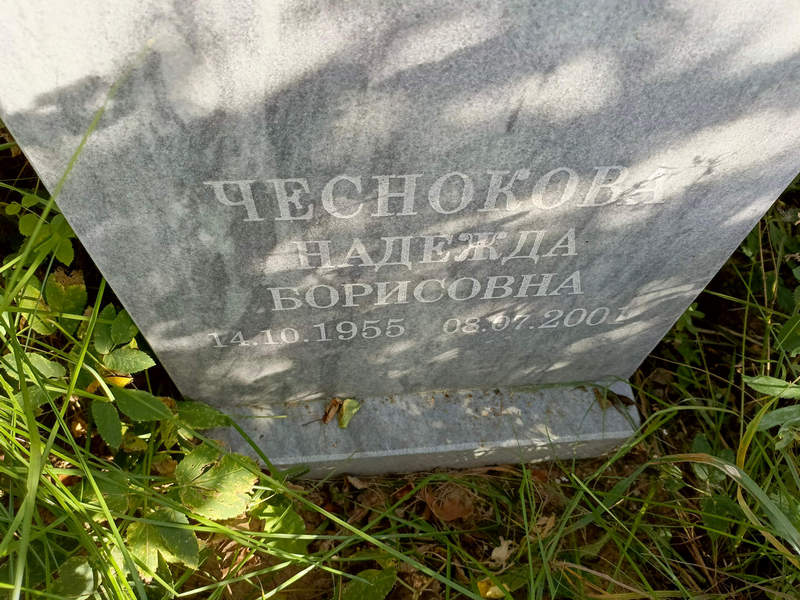 Чеснокова