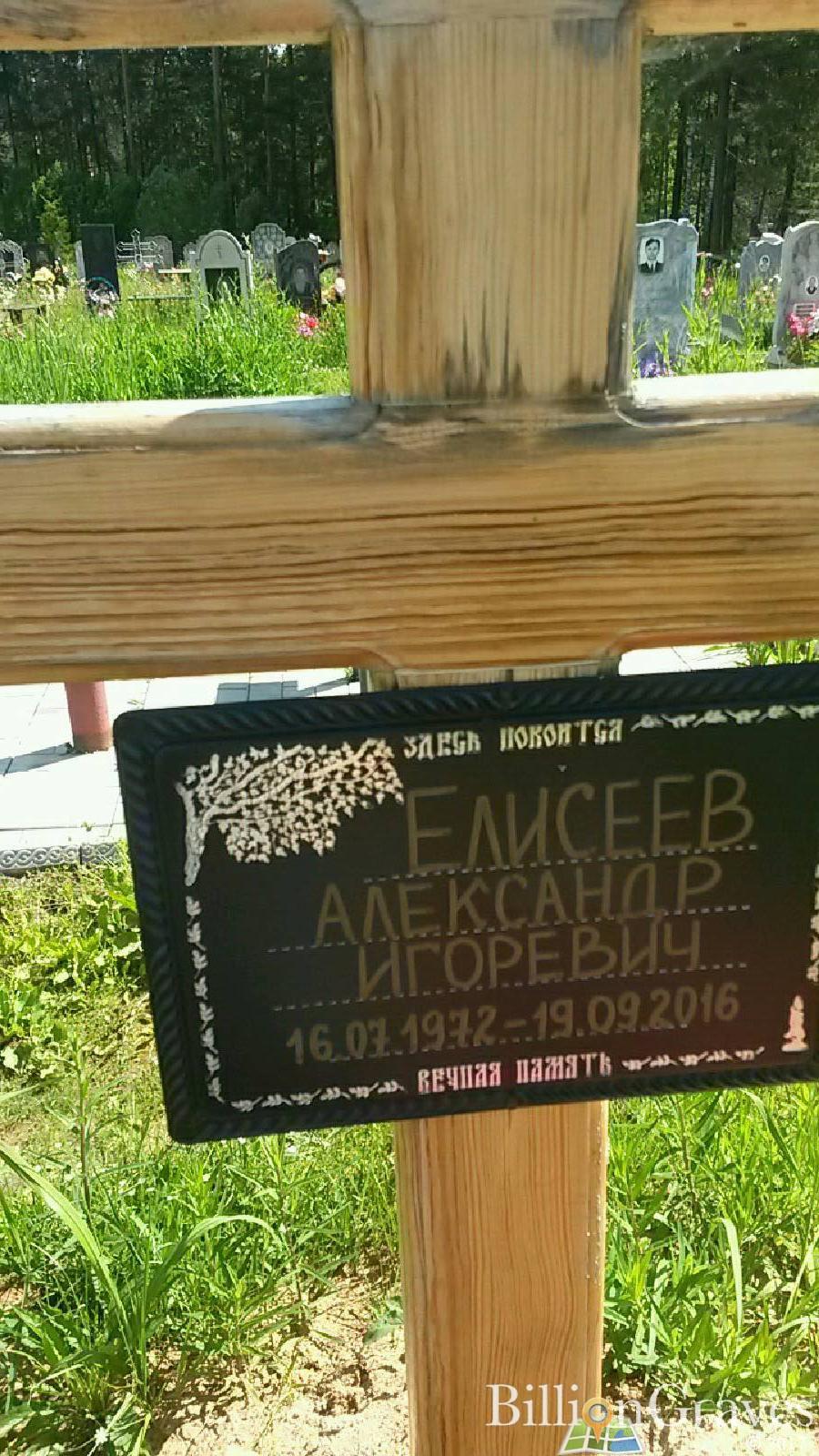 Елисеев Александр Игоревич