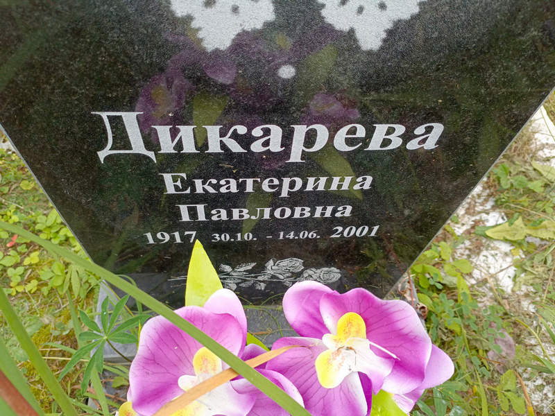 Дикарева