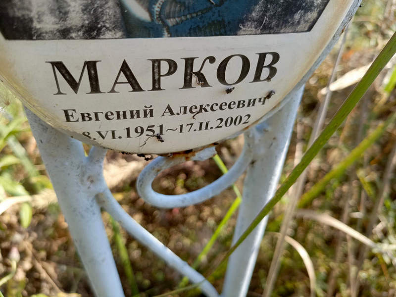 Марков
