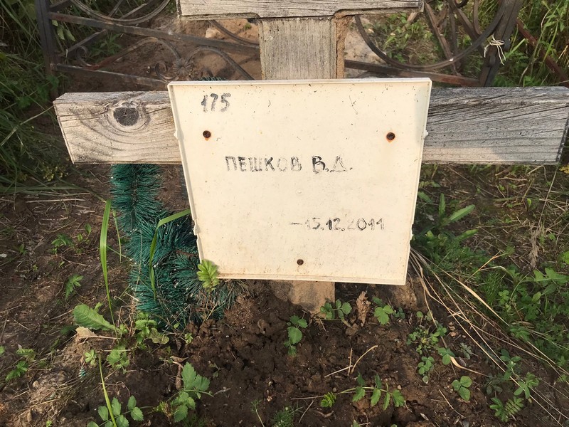 В. Пешков Д.