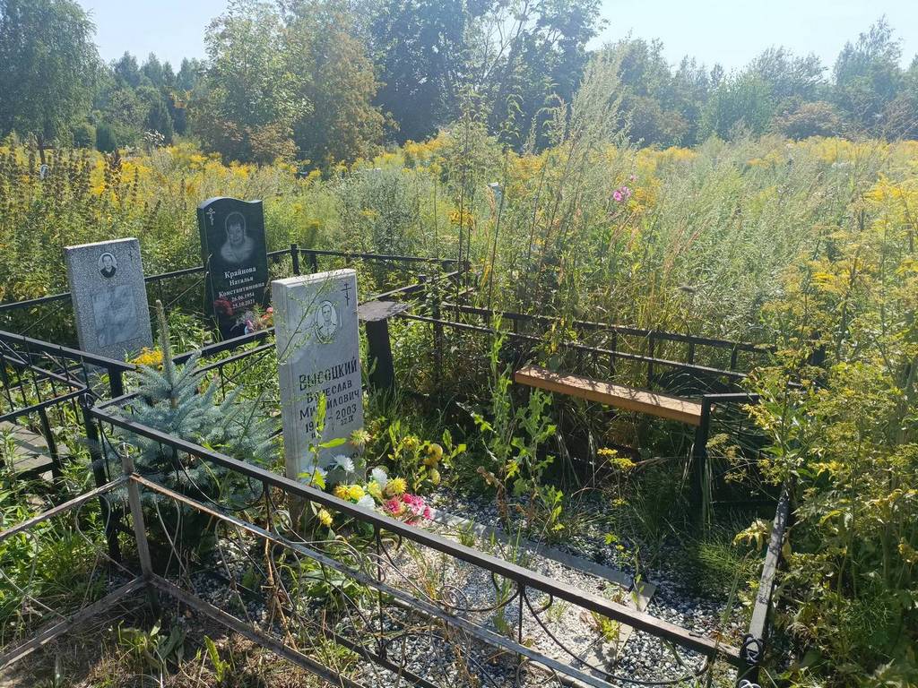Высоцкий Вячеслав Михайлович