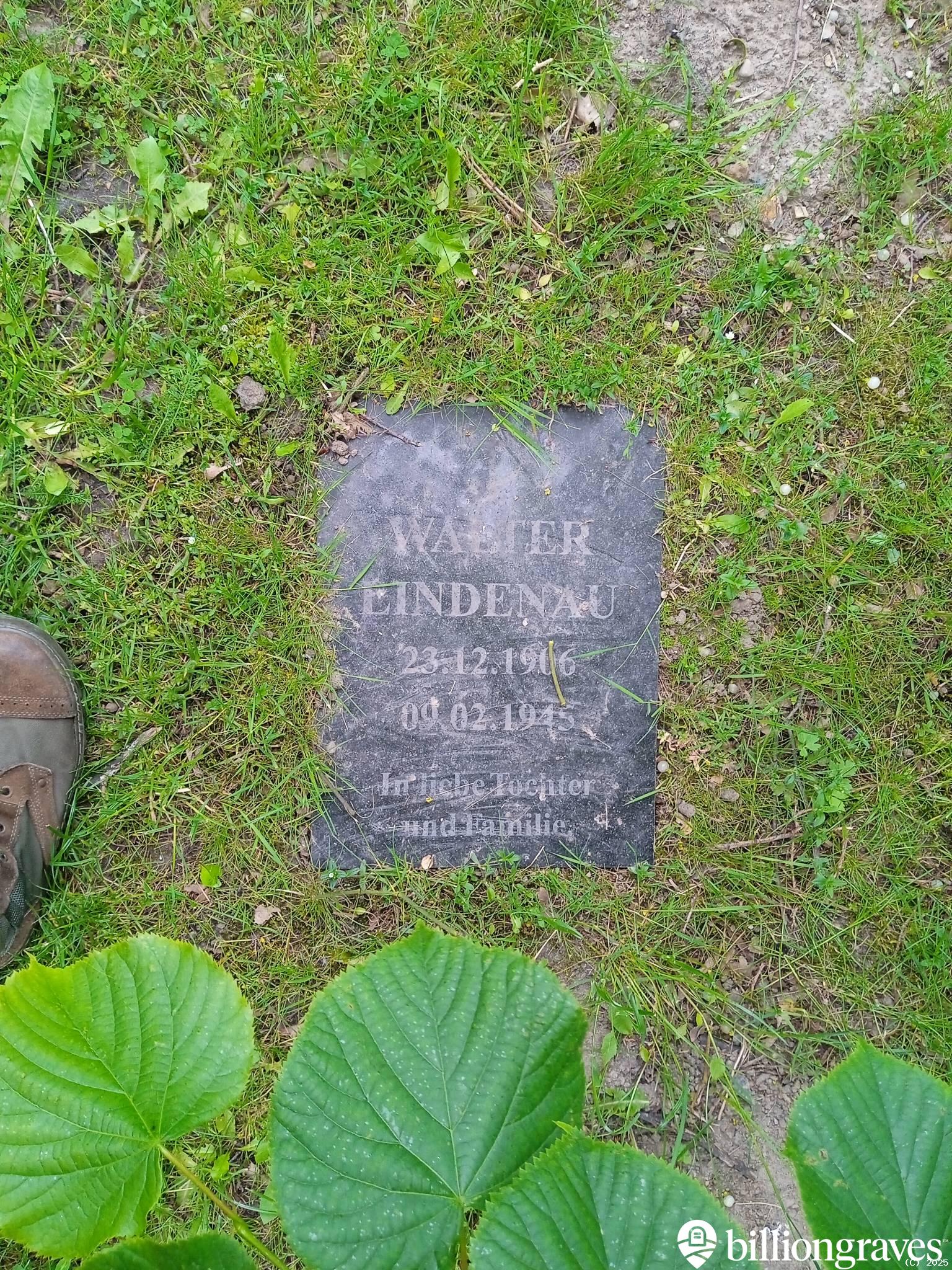 Lindenau Walter