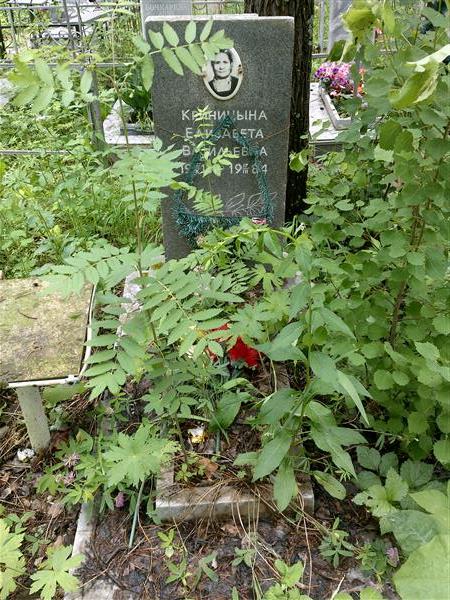 Криницына Елизавета Васильевна