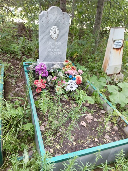 Долгушева Анна Георгиевна