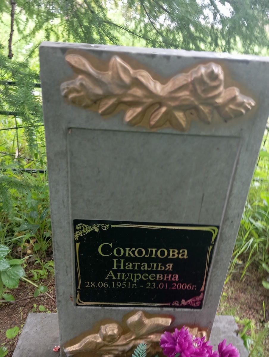 Соколова Наталья Андреевна