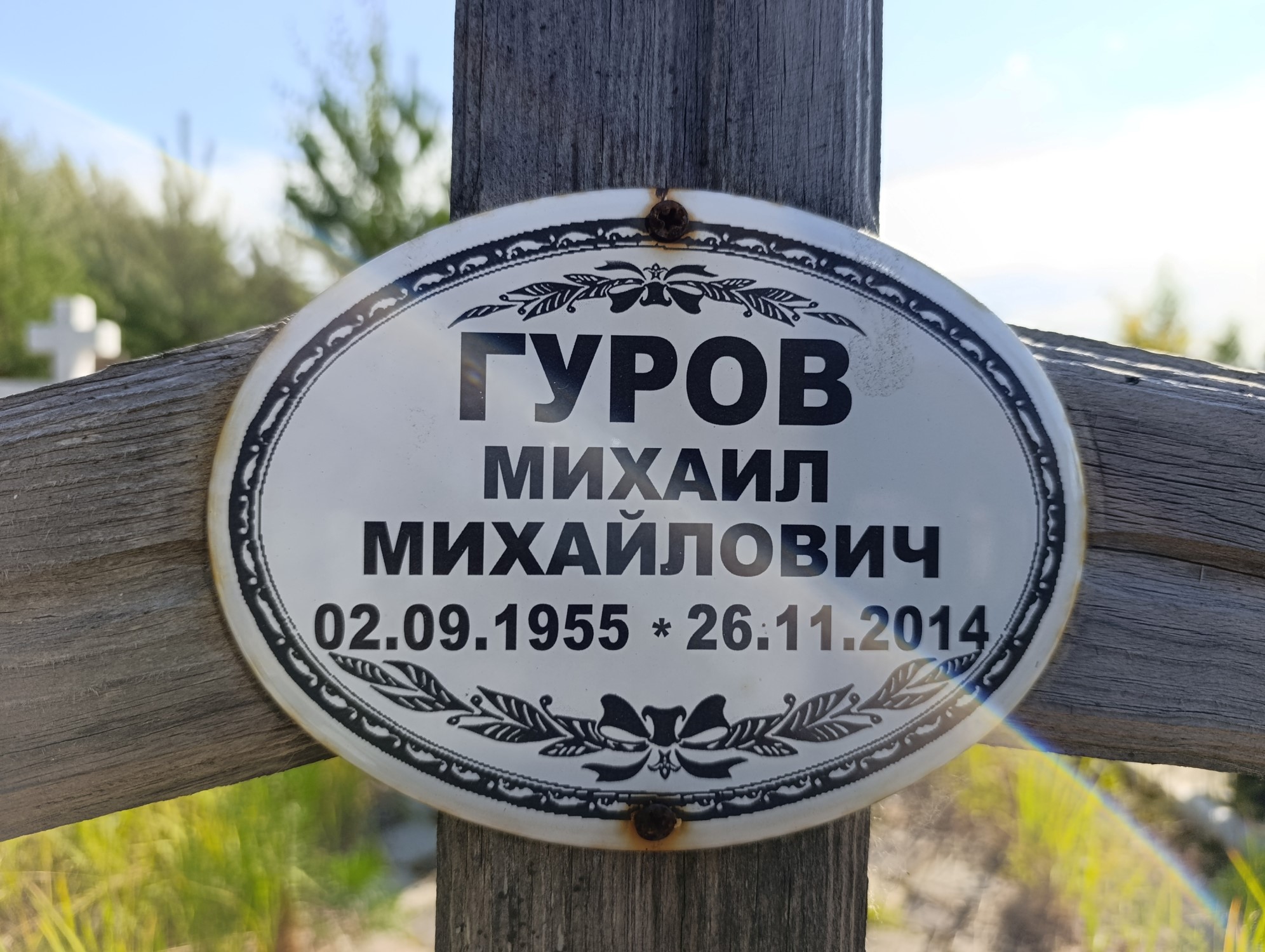 Гуров Михаил Михайлович