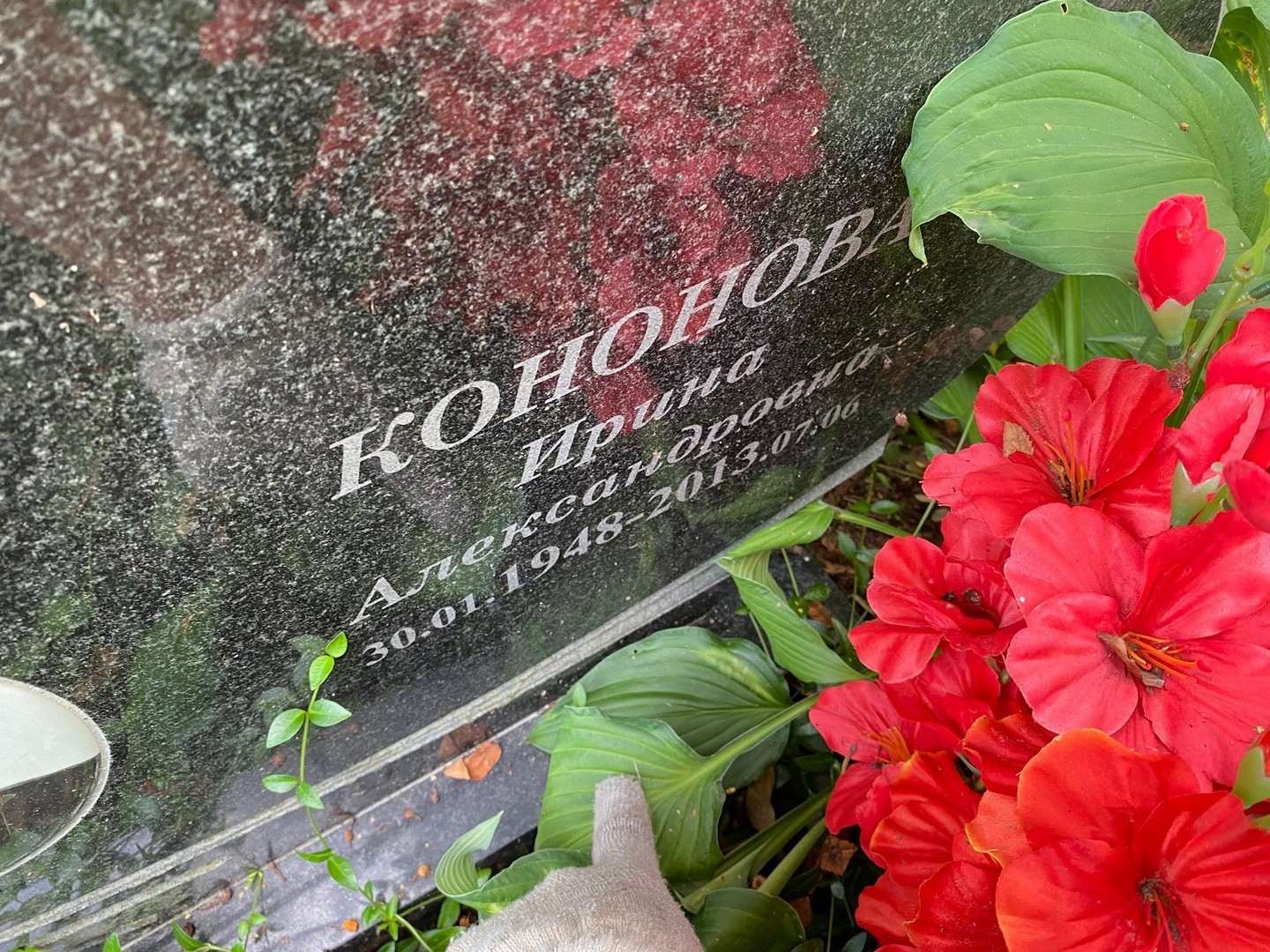 Кононова