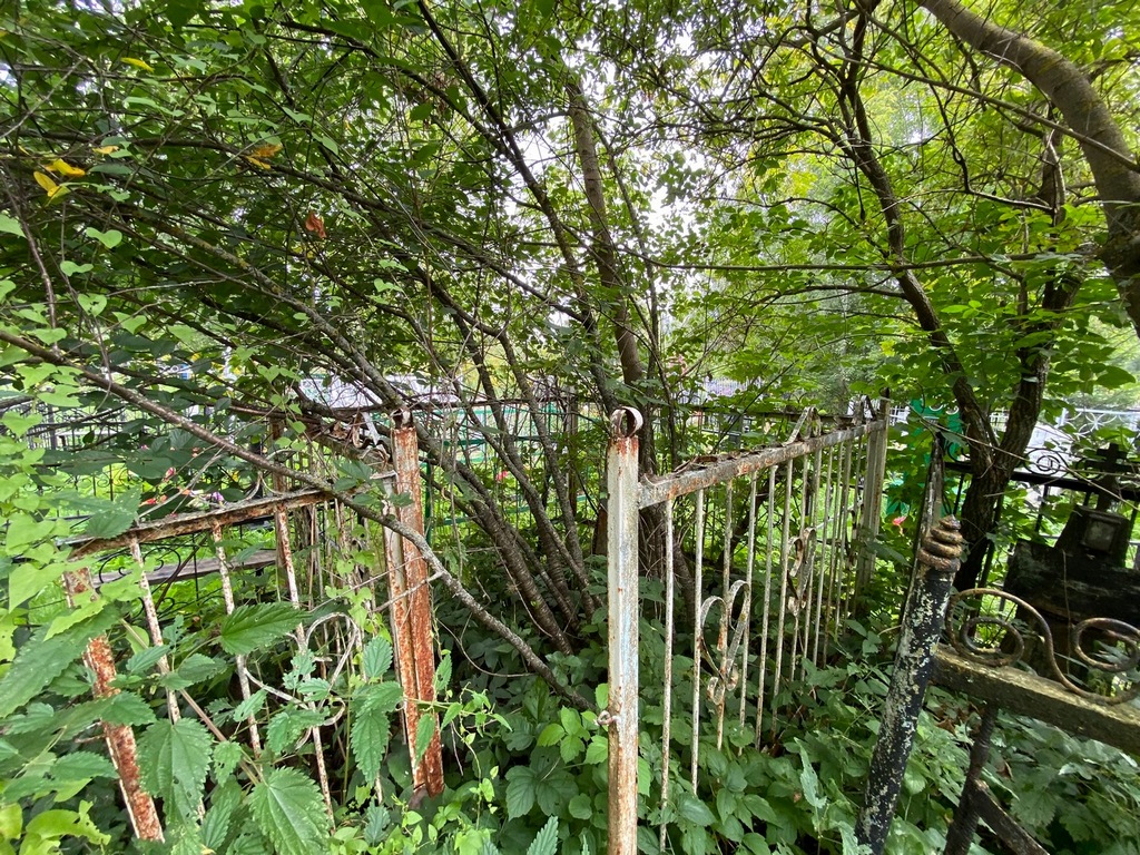 Замашкин Николай Иванович