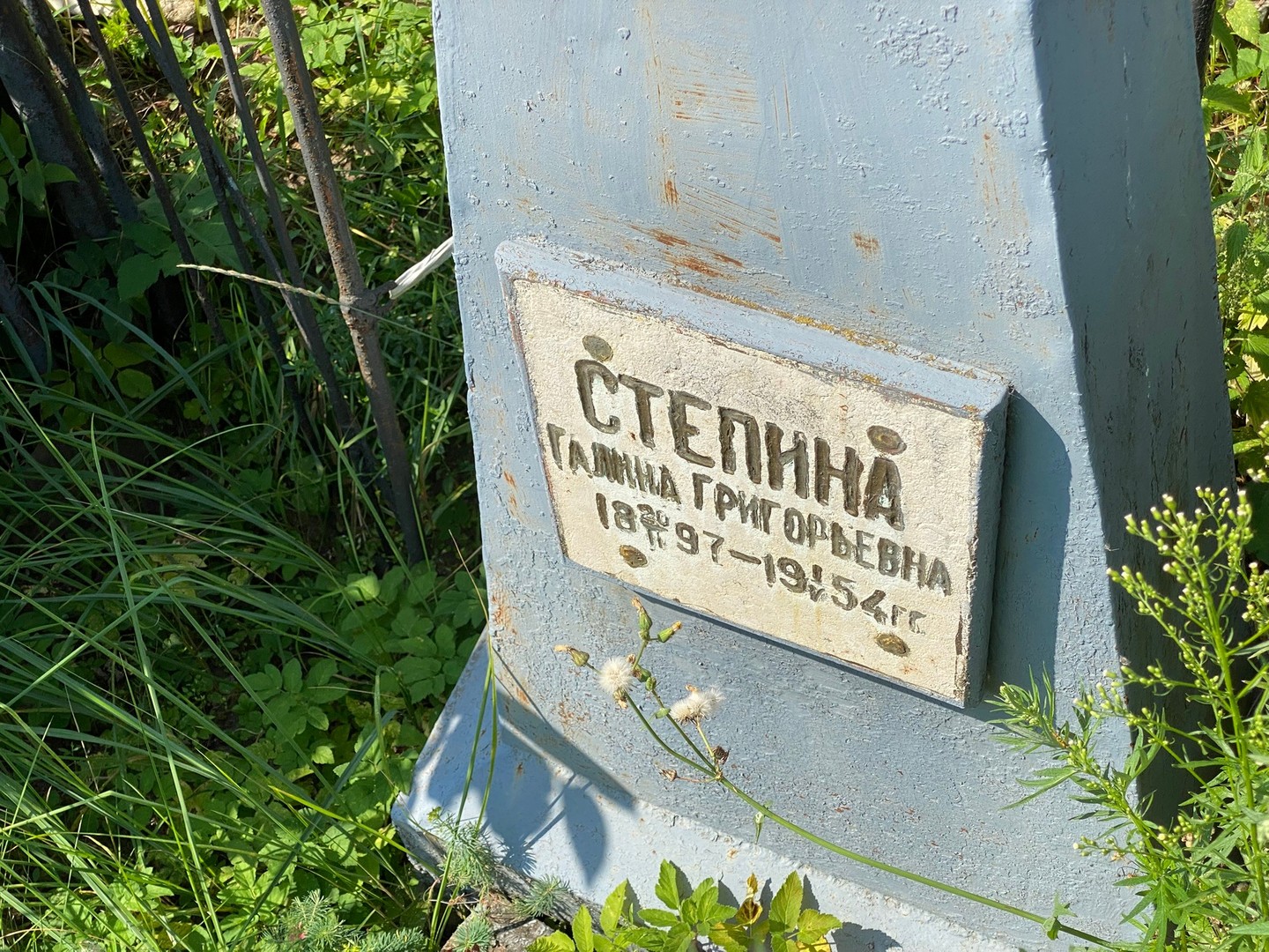 Степина