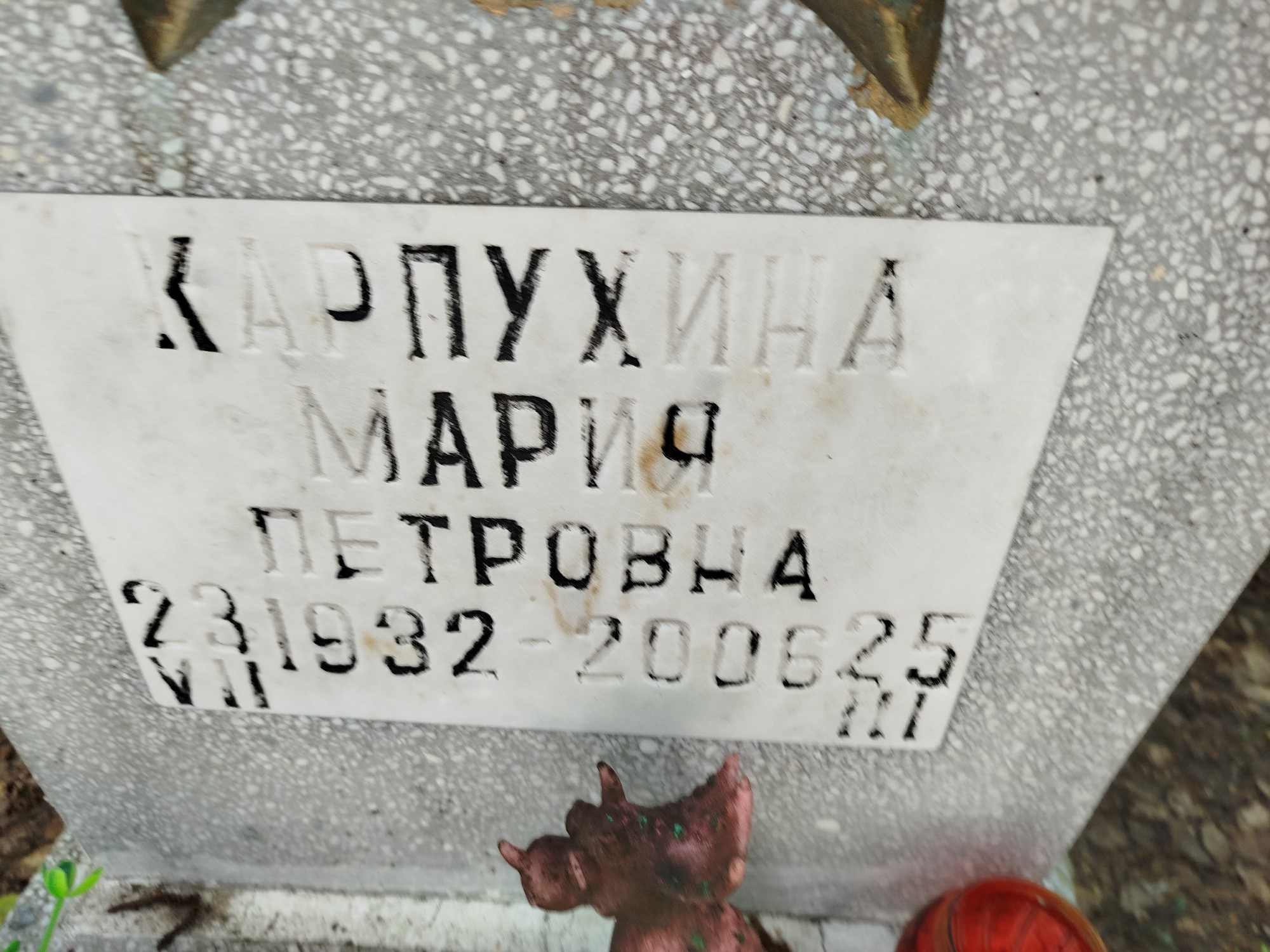 Карпухина Мария Петровна