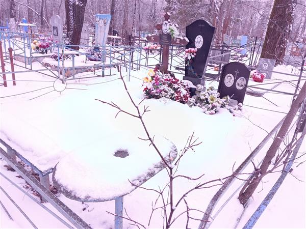 Ионова Ирина Аркадьевна