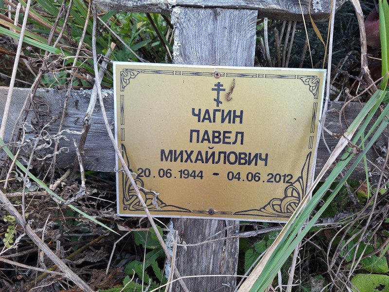 Чагин