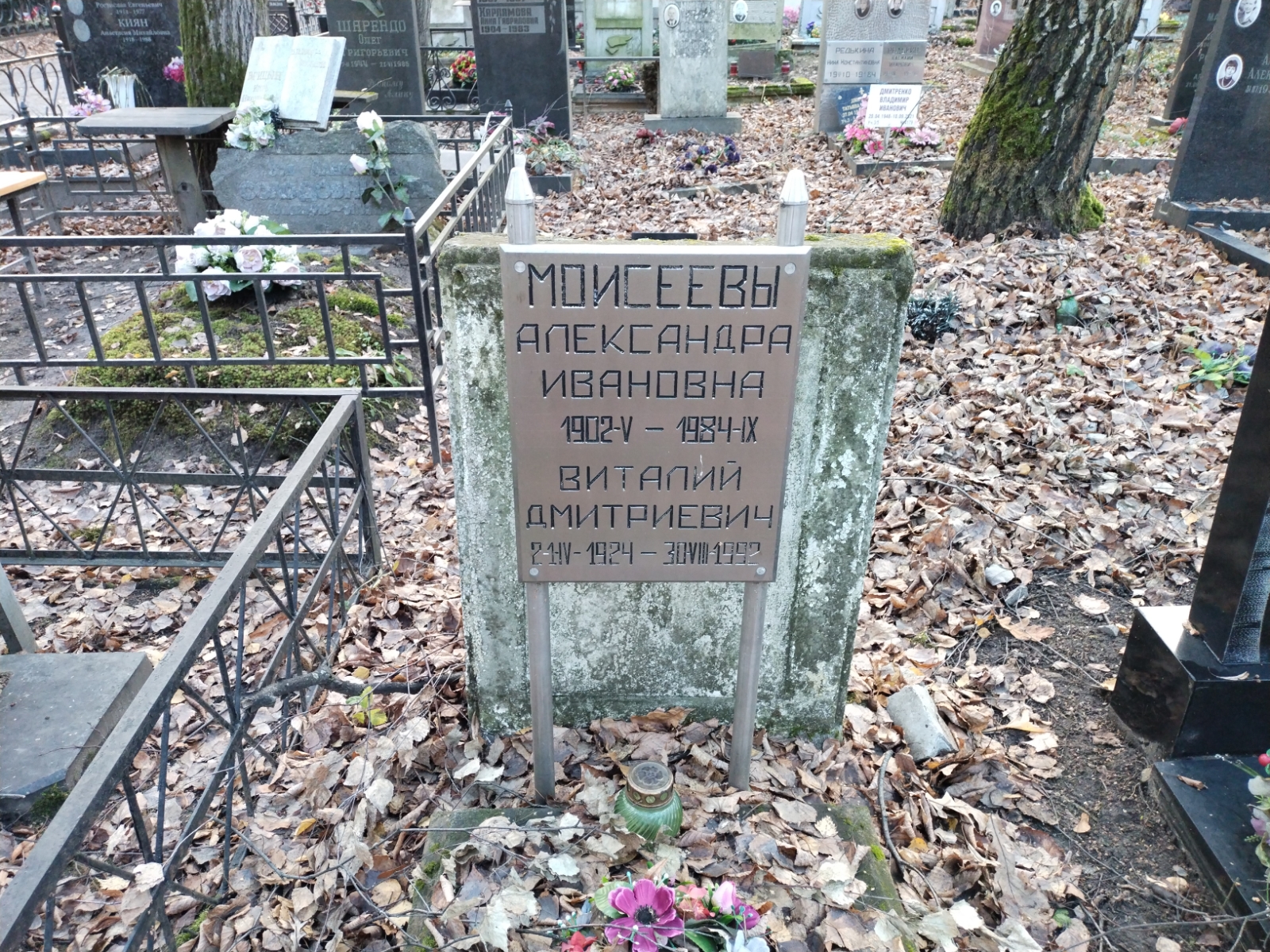 Моисеев Виталий Дмитриевич