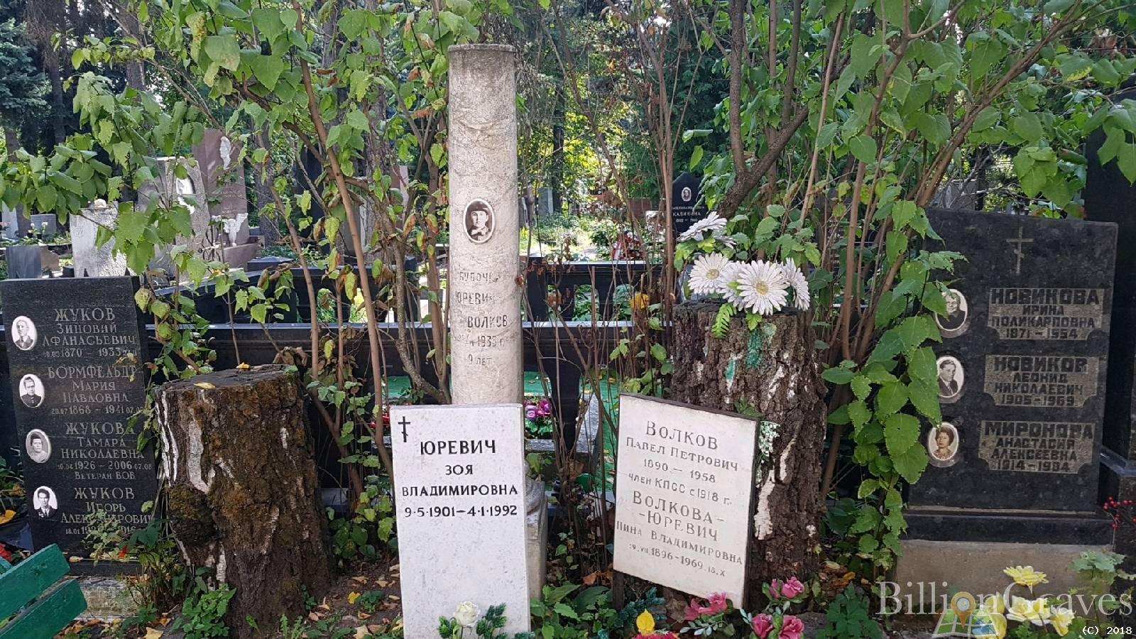 Волкова - Юревич Нина Владимировна