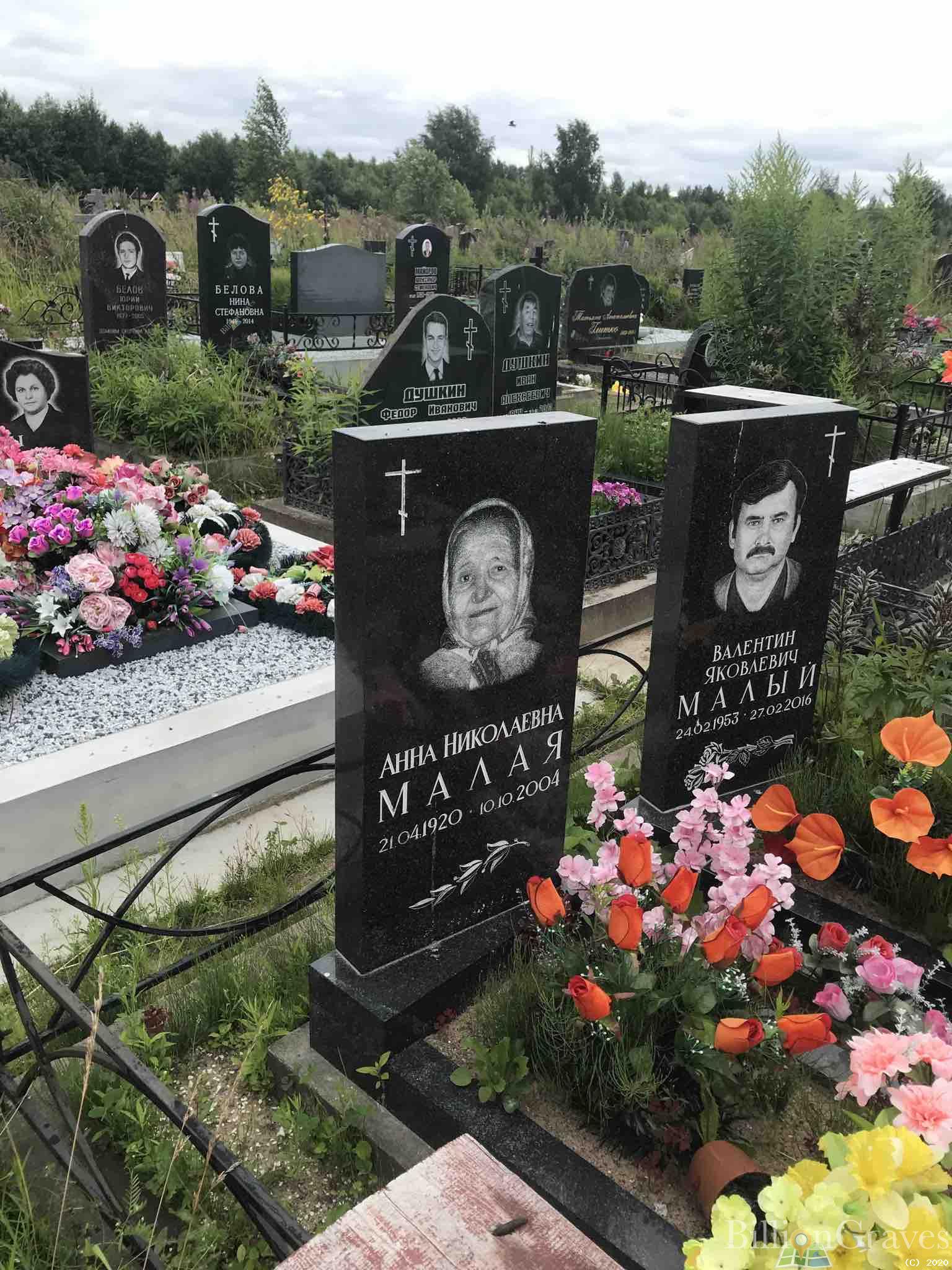 Малый Валентин Яковлевич
