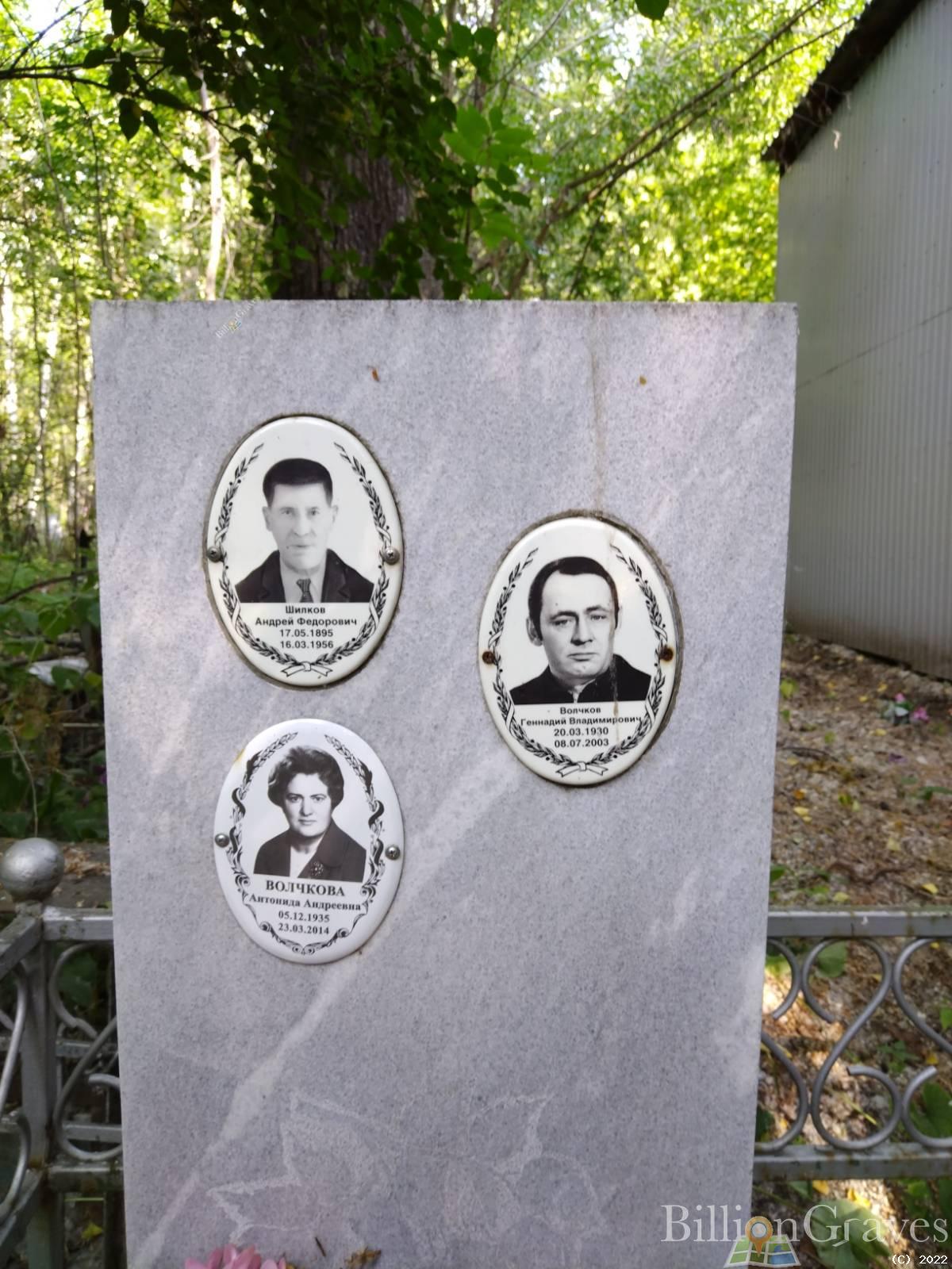 Волчкова Антонида Андреевна