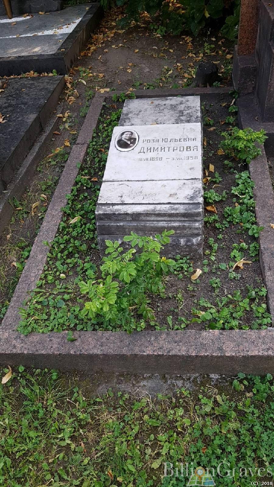 Димитрова Роза Юльевна
