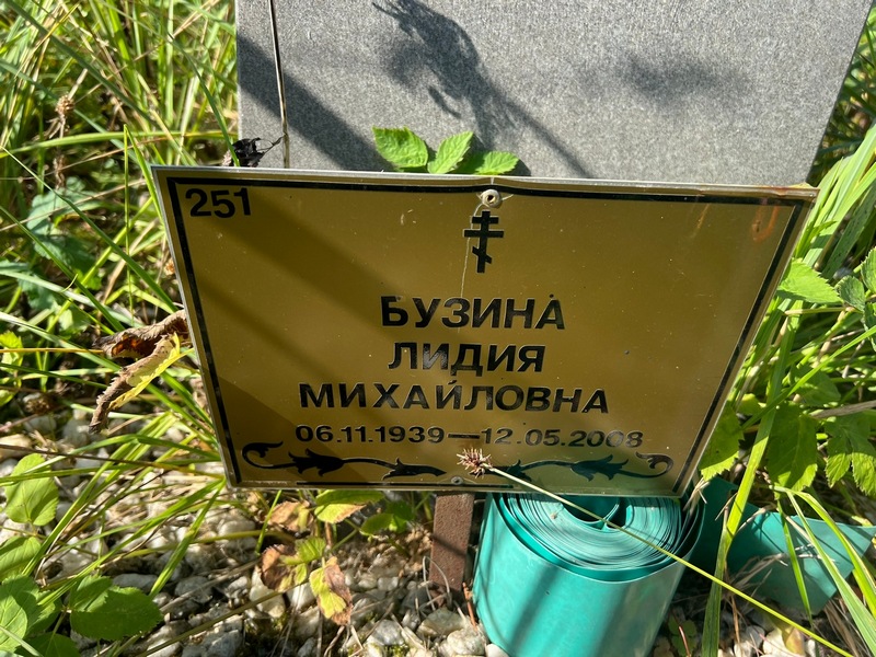 Бузина