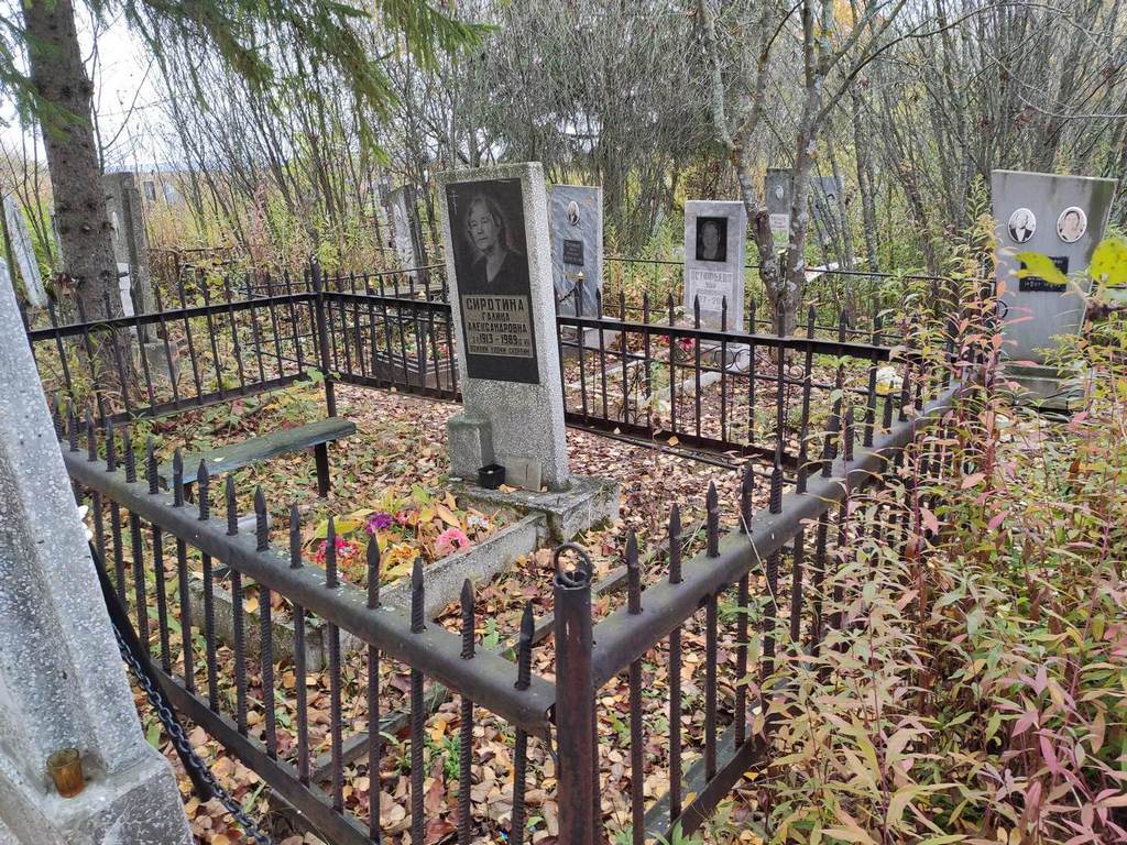 Сиротина Галина Александровна