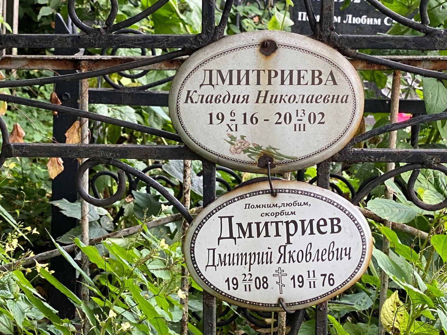 Дмитриева