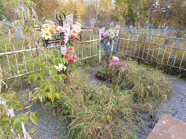 Шмелев Николай Анатольевич