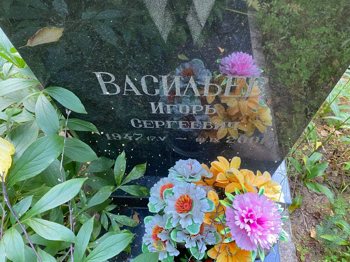 Васильев