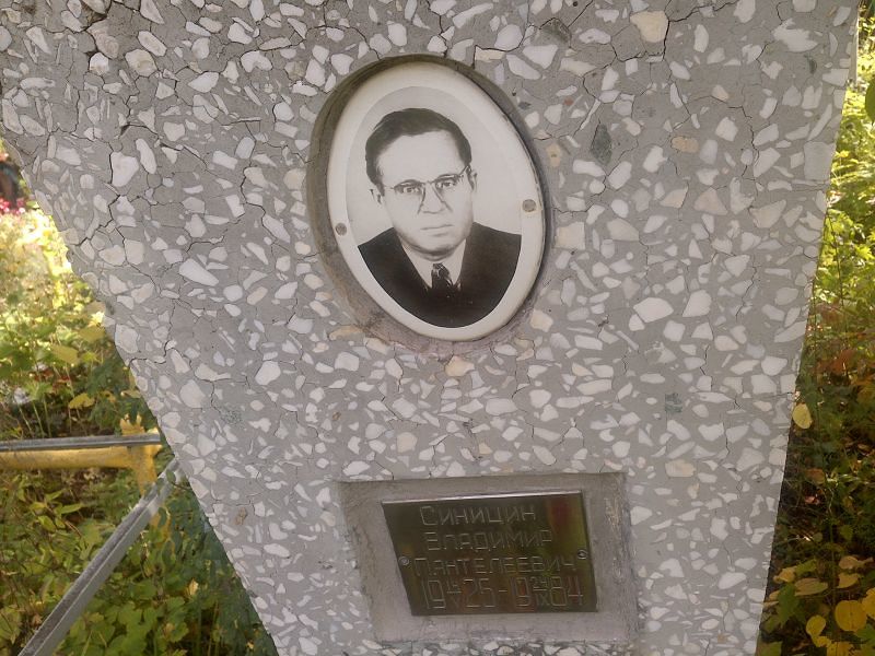 Синицин