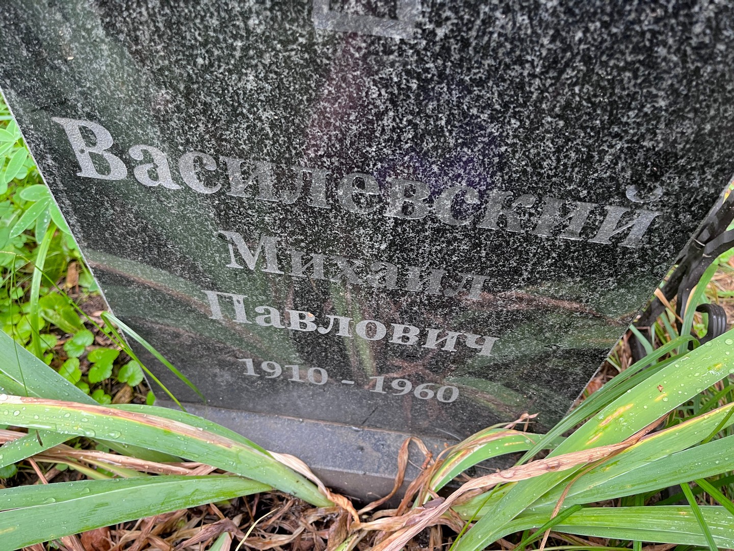 Василевский