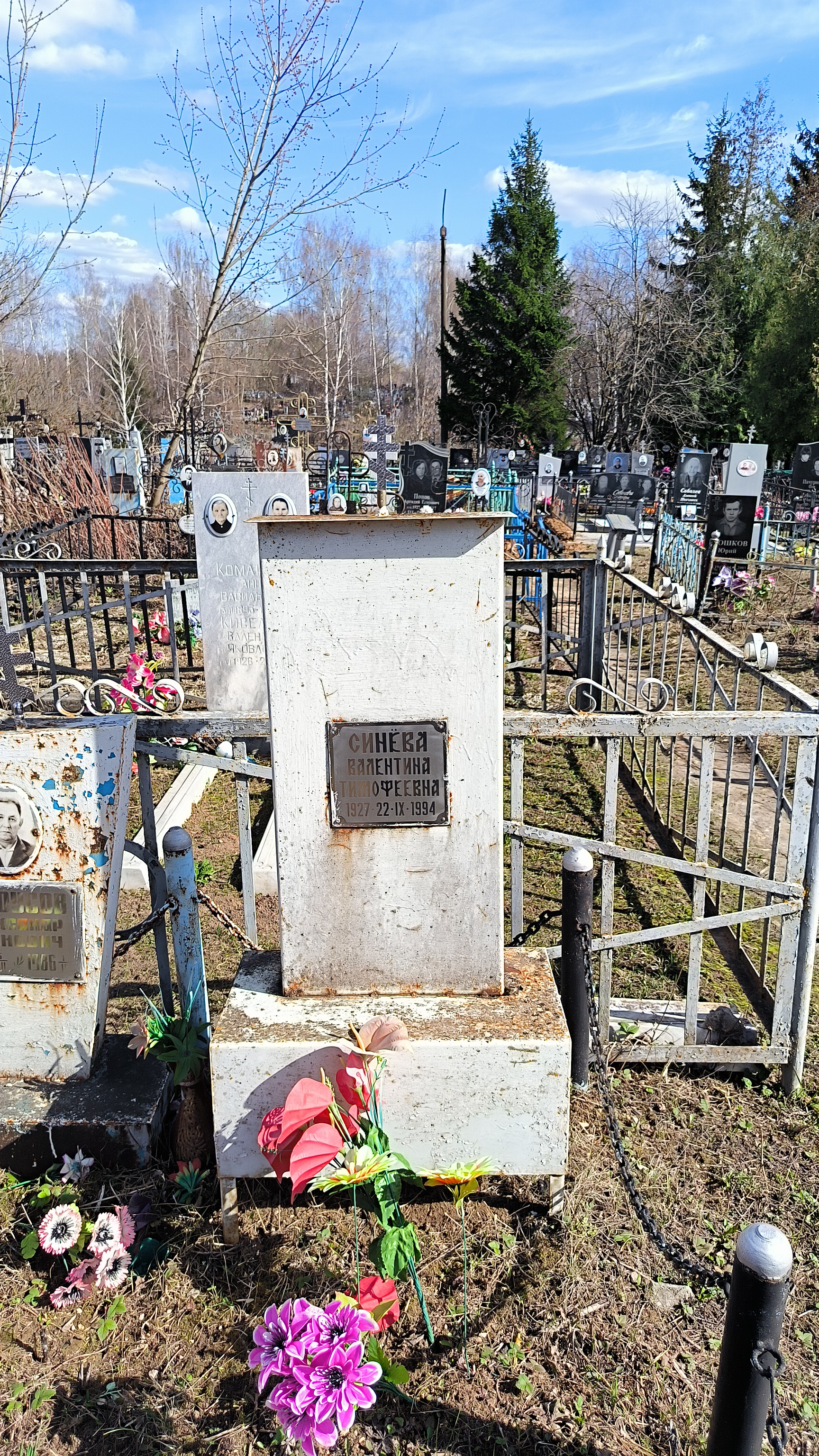 Синёва Валентина Тимофеевна