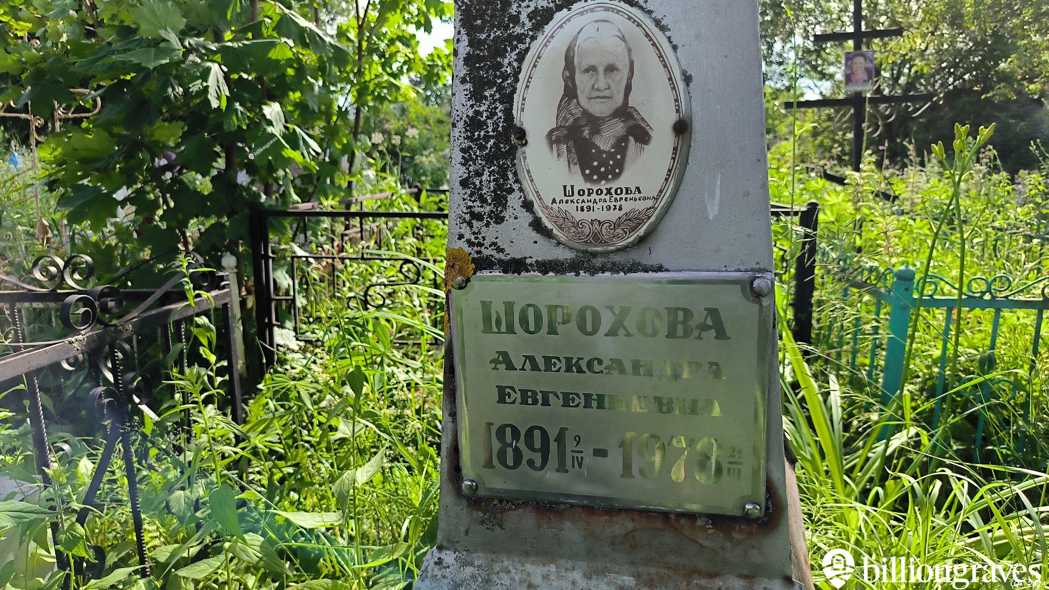 Шорохова Александра Евгеньевна