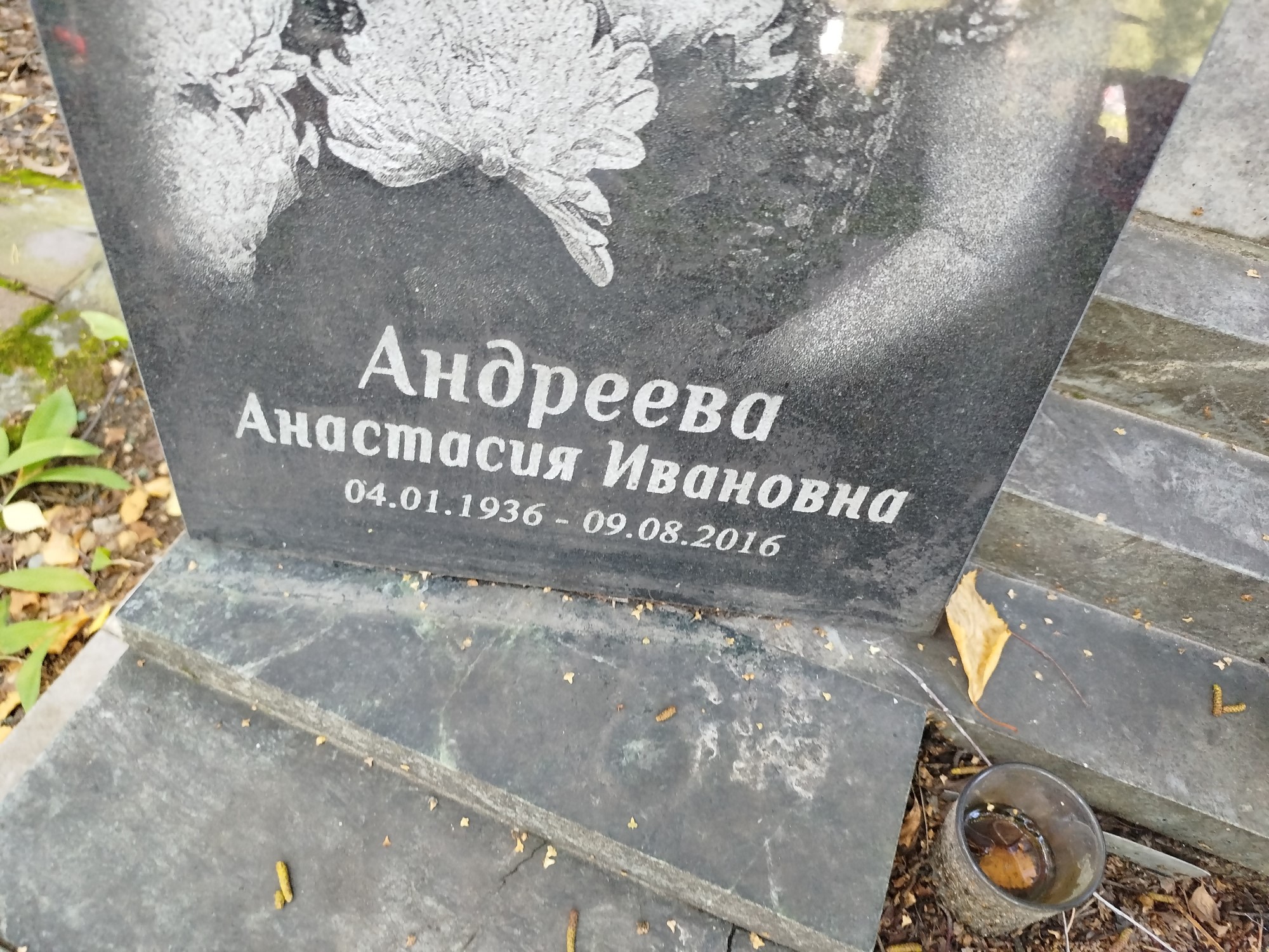 Андреева Анастасия Ивановна