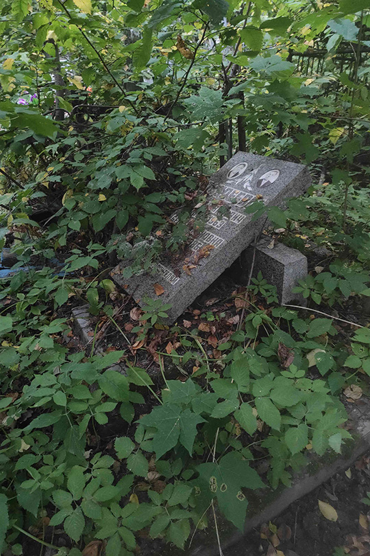 Андреева Белла Ароновна