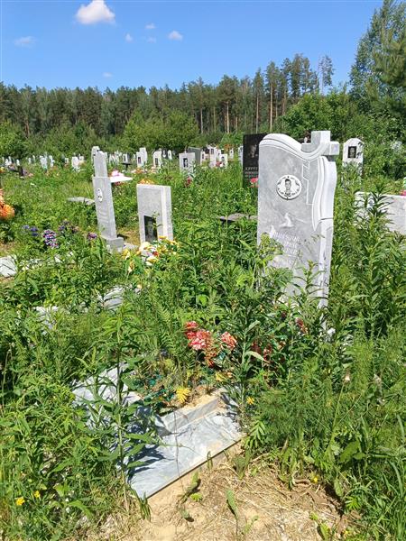 Викулов Андрей Сергеевич